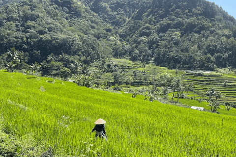 Selogriyo Temple & Java Rice Terrace Trek With Ticket