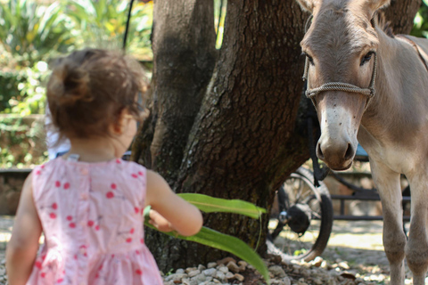 Experiência de passeios de burro para criançasExperiência em passeios de burro para crianças