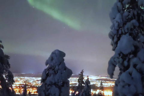 Rovaniemi: Northern Lights Hunt with Local Guides