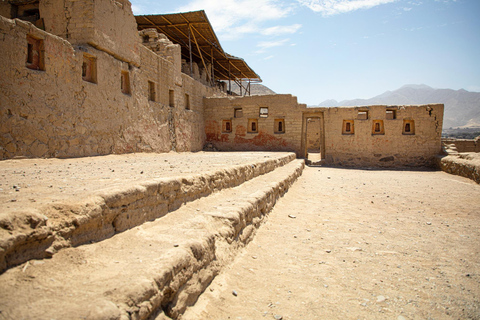 From Cruise Ship: Tour to the Ballestas Islands and Tambo Colorado Arequipa: Ballestas Islands and Tambo Colorado Tour