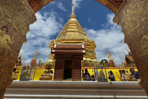 Chiang Mai: Elefantreservat, munkspår och Doi Suthep-turUpphämtning från hotell i Chiang Mai Center