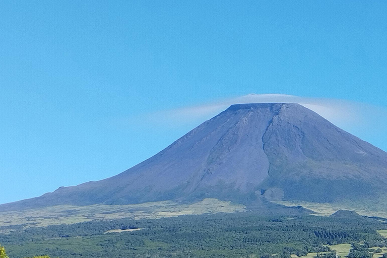 Pico Grand Tour: Volcanoes, UNESCO Vineyards & Local Culture