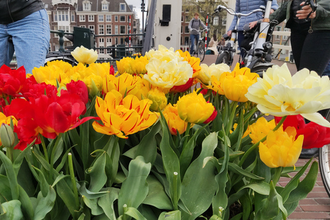 Amsterdam - guidat besök med cykel på franska