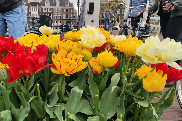 Amsterdam - guidat besök med cykel på franska