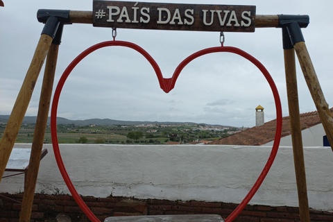 Vila de Frades: Talha Wine Tour with Tastings