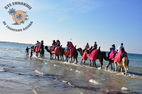 Djerba: Camel Ride to the Blue Lagoon at Sunset