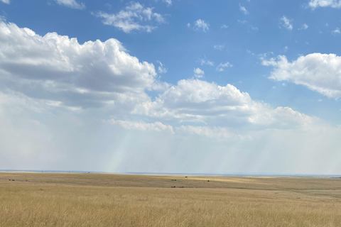 أروشا: نزهة على الأقدام في كليمنجارو وتارانجير ونجورونجورو لمدة 3 أيام