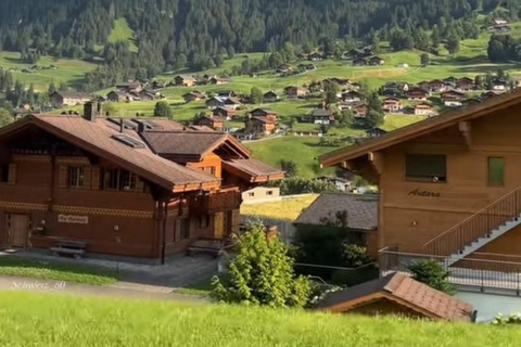Private Scenic Swiss Alps Tour: Zurich Interlaken Lauterbrun