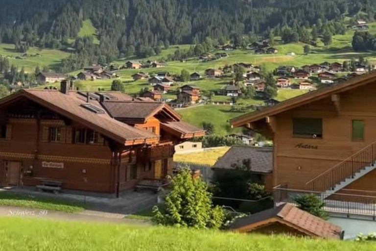 Private Scenic Swiss Alps Tour: Zurich Interlaken Lauterbrun