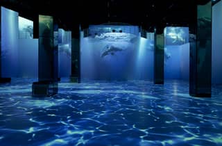 Hamburg: Port des Lumières Ocean Wonders