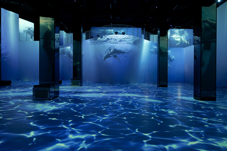 Hamburg: Port des Lumières – Ocean Wonders