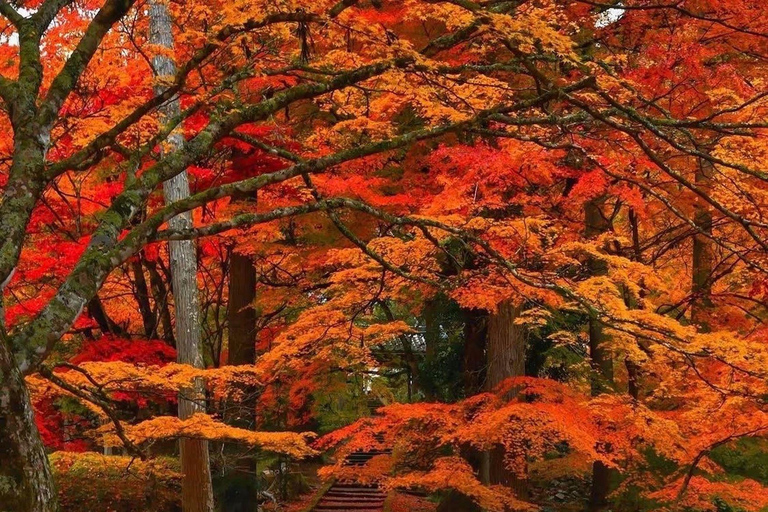 Nikko: Kegon Falls, Chuzenji, Shinkyo Bridge, Toshogu Temple In Luxury Velfire Nikko Private Customized Tour