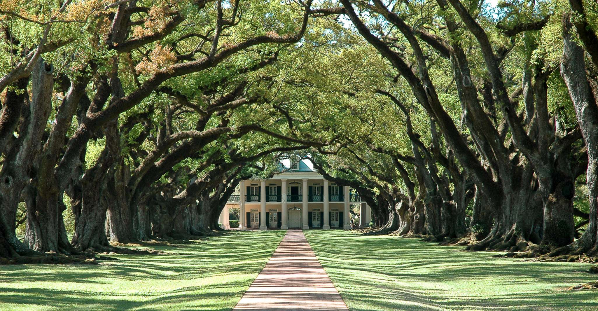 Louisiana, Laura, Oak Alley, or Whitney Plantation Tours