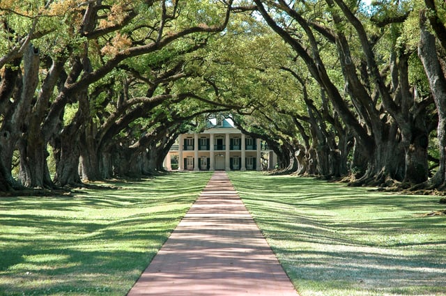 Louisiane : Laura, Oak Alley ou Whitney Plantation Tours