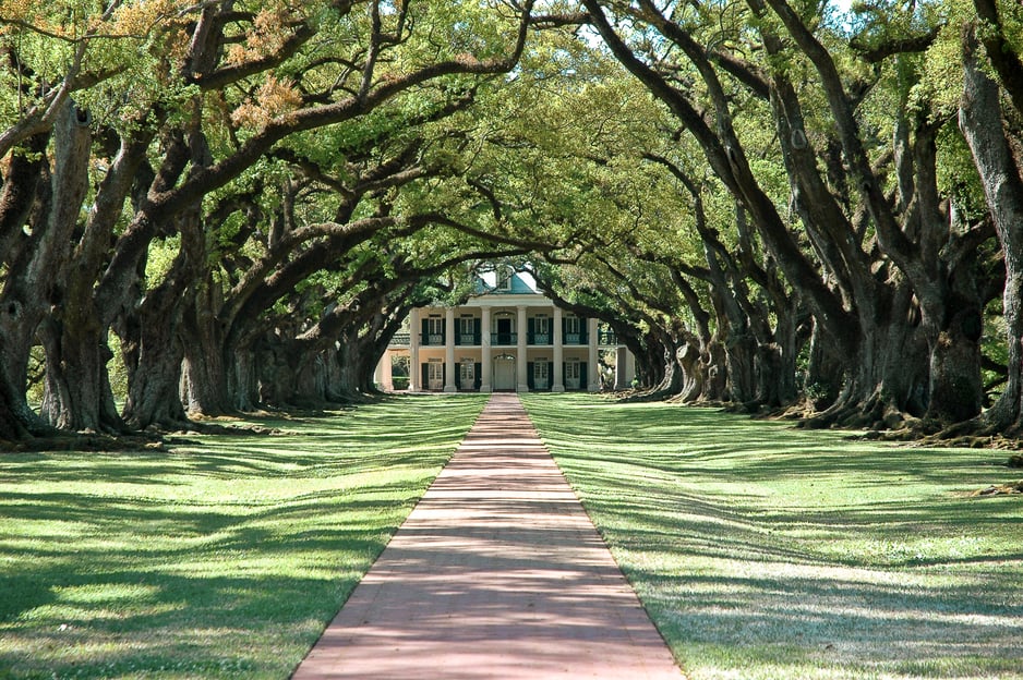 Louisiana: Tour delle piantagioni Laura, Oak Alley o Whitney