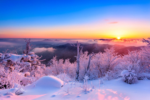 Depuis Séoul : La beauté enneigée du parc national de Deogyusan