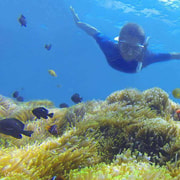 Amed: Exclusive Private Snorkeling at 4 Best Spots