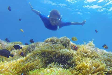 Amed : plongee avec tuba privee exclusive dans les 4 meilleurs spots