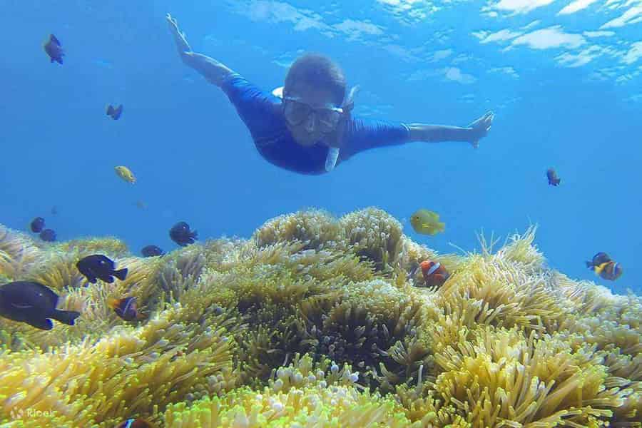 Amed: Exklusives privates Schnorcheln an den 4 besten Spots. Foto: GetYourGuide Amed: Exklusives privates Schnorcheln an den 4 besten Spots. Foto: GetYourGuide