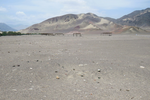 Depuis Nazca : Visite du cimetière de Chauchilla et atelier d&#039;artisansDepuis Nazca : Visite du cimetière de Chauchilla