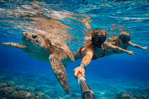 Mirissa: Sea Turtle Snorkeling & River Kayaking Combo Tour