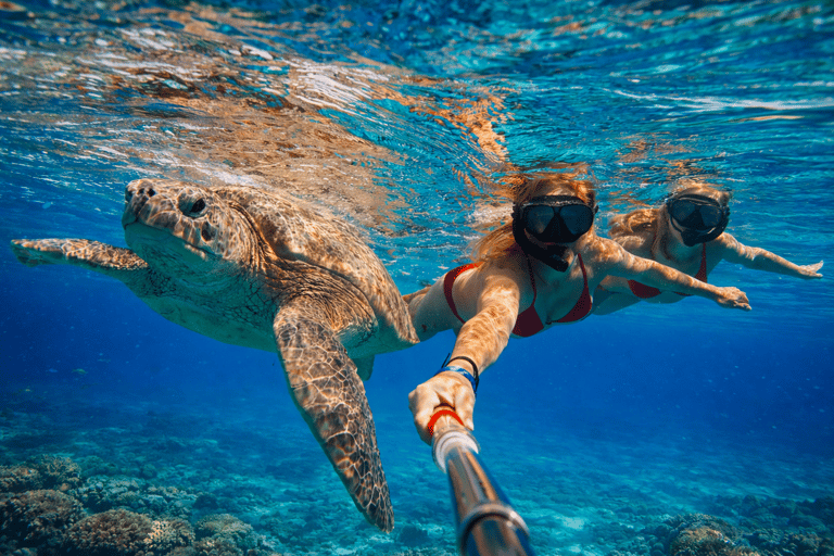 Mirissa: Sea Turtle Snorkeling & River Kayaking Combo Tour