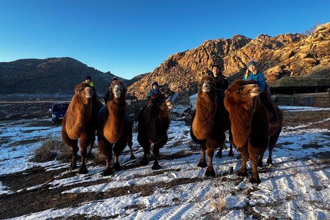 3-Day Mongolia Tour for Intl Travelers w/Pickup