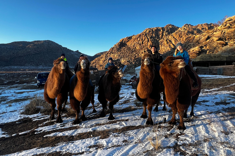 3-Day Mongolia Tour for Intl Travelers w/Pickup