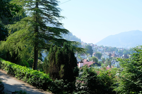 Bergen: Urban Mountain Hiking and History Tour