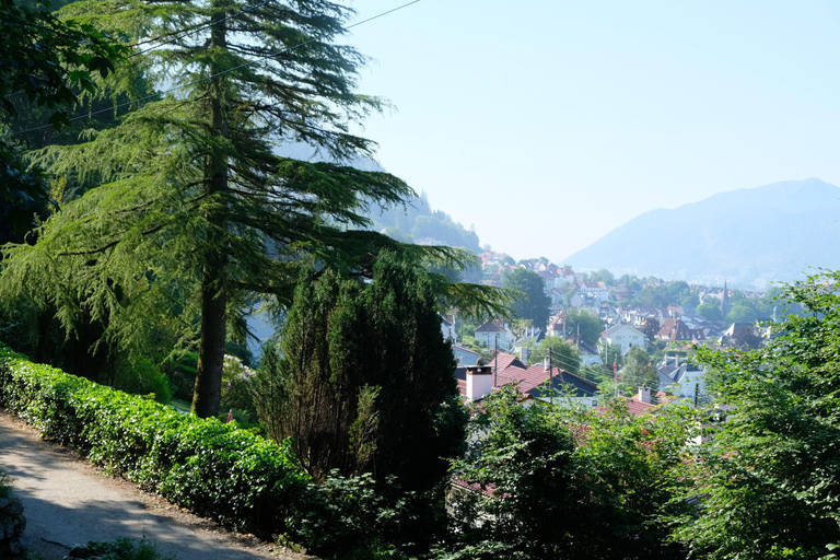 Bergen: Urban Mountain Hiking and History Tour