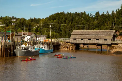 Saint John : visite guidée en kayak des grottes marines de St. Martins