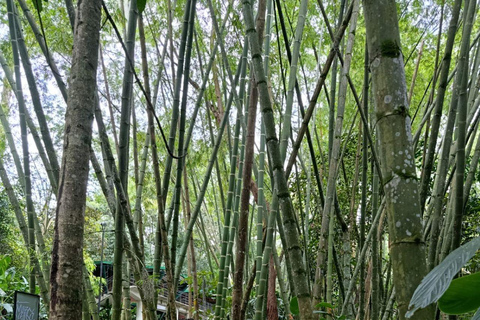 Medellín : plus qu'Escobar Visite guidée à piedMedellín : visite guidée à pied au-delà d'Escobar
