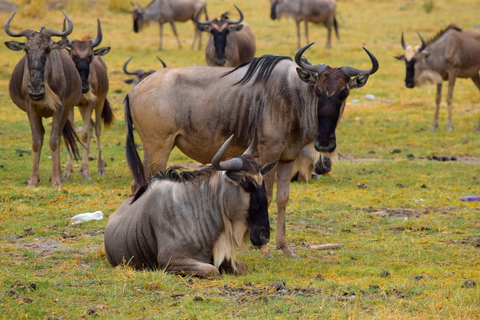 Viaggio di due giorni al Lago Manyara con canoa e passerella tra le cime degli alberiCampeggio a Karatu