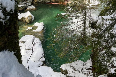 Vancouver: Regenwald-Wasserfall-Wanderung und Hängebrücke