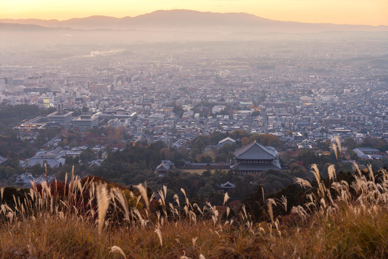 Nara Cherry Blossom Highlights Spring Day Tour from Osaka Shared Tour, Meet at Tsurutontan Soemoncho