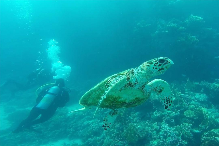 Cairo: Ain Sokhna Snorkeling cruise & optional transfer Cairo: Premium Yacht Cruise with private pickup from Cairo