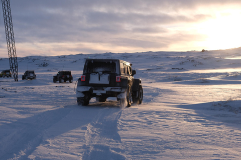 Islandia: Visitas personales con guía local