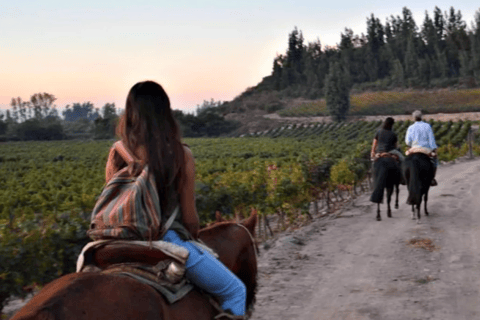 Ensenada: Ridning på vingårdarna