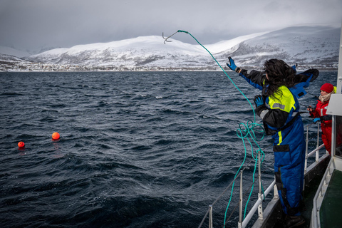 The official Tromsø king crab fish tour