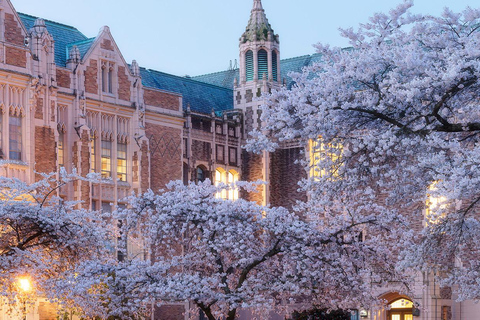 Seattle: Cherry Blossom Tour with Gardens & Pike Place