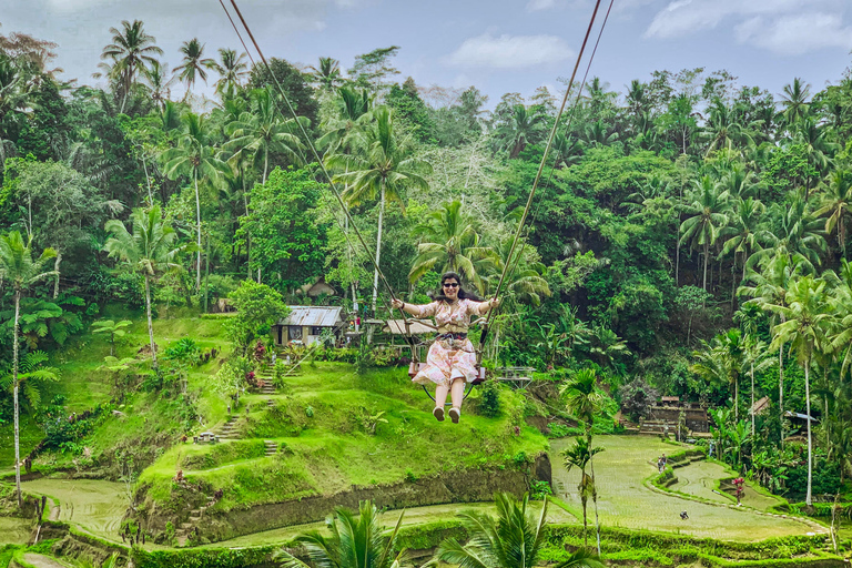 Ubud privato: Cascate, tempio dell&#039;acqua, terrazza di risoTour di un giorno (10-12 ore di tour), escluse le tariffe dei biglietti d&#039;ingresso