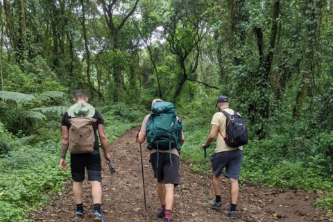 Trekking au Mont Kilimandjaro : 7 jours sur la route MachameTrekking au Mont Kilimandjaro : 7 jours sur la route Machame (7+ personnes)