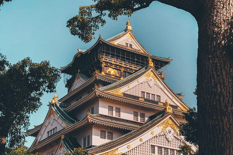 Osaka Half-Day Tour with Entrance Fees Osaka Half-Day Tour with Tickets