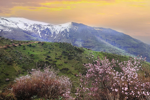From Yerevan: Khor Virap, Noravank & Areni Wine Tour From Yerevan: Shared Khor Virap, Noravank & Areni Wine Tour