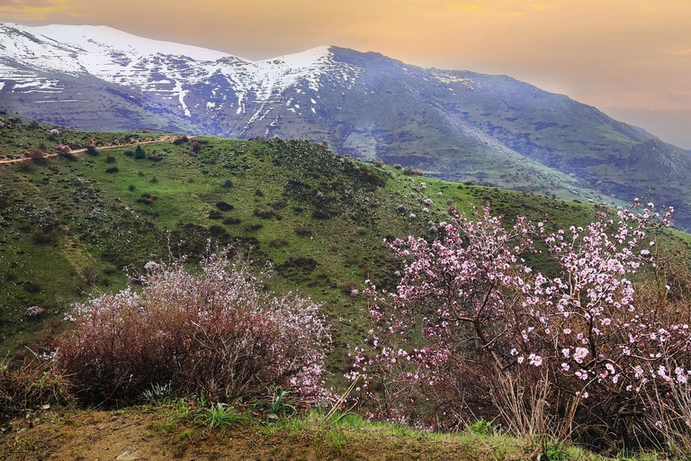 From Yerevan: Khor Virap, Noravank & Areni Wine Tour From Yerevan: Shared Khor Virap, Noravank & Areni Wine Tour