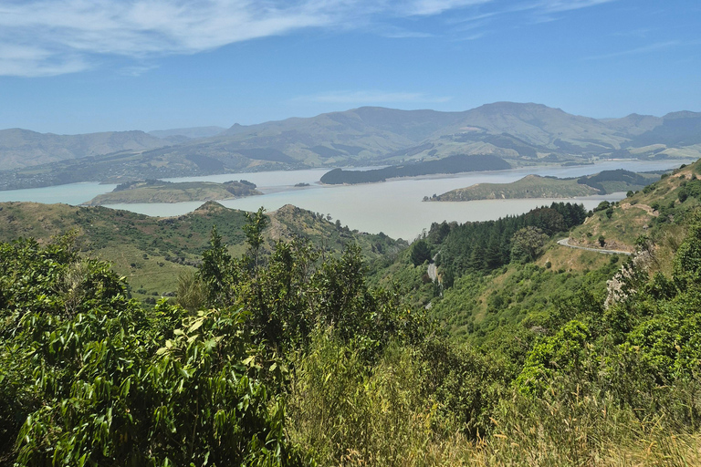 Christchurch Private Scenic Highlights Tour with Local Guide