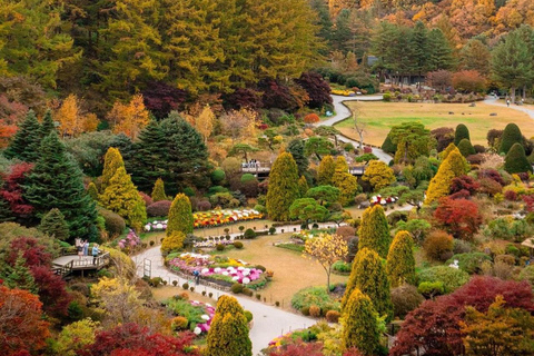 Seoul: Nijimori Japan(Day) & Nami Island & Korean Garden From Hongik Univ. Station Exit 4