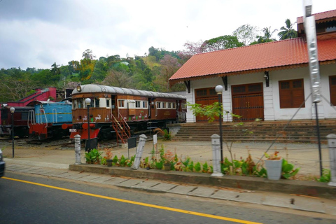 Pinnawala & Tea Factory & Kandy Full Day Tour from Negombo By Private Air Conditioned KDH Flat Roof Van