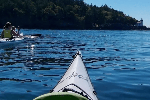 San Juan Island: West Side Half Day Kayak Tour Half Day