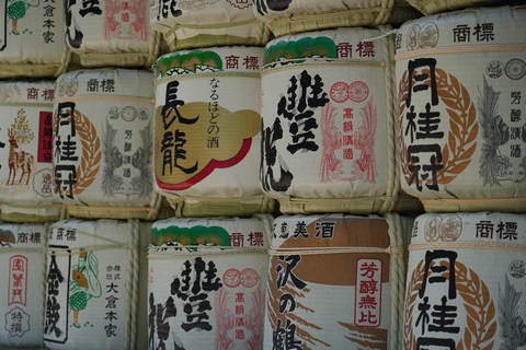 Tour por Kioto y Nara con Fushimi Inari y el parque de los ciervos